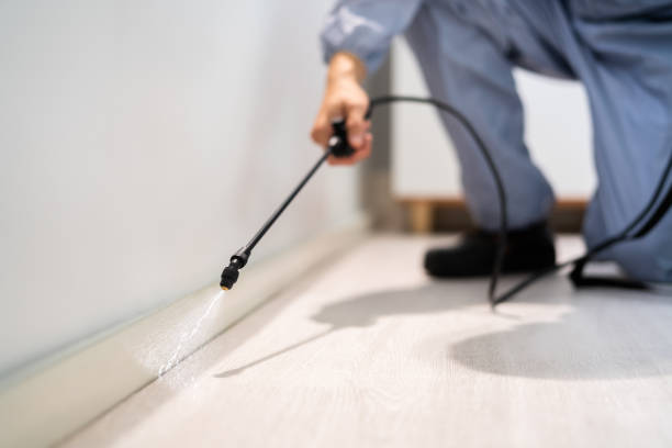 Rodent Entry Point Assessment in Snohomish