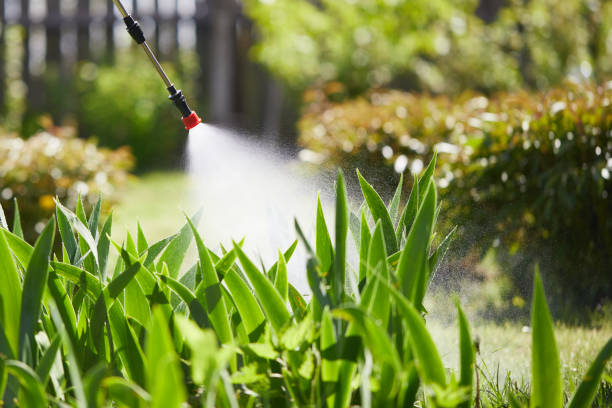 Tamper-Resistant Bait Stations for Rodents in Snohomish