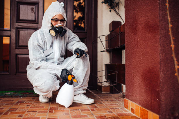 Attic and Crawl Space Rodent Treatment in Snohomish