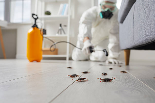 Commercial Rodent Management in Snohomish